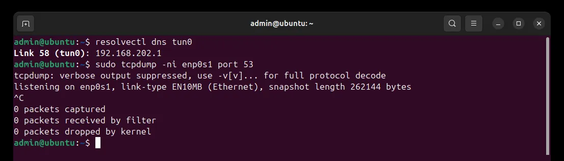 Terminal: resolvectl dns tun0 shows the VPN's DNS server, and tcpdump on the network interface captures 0 DNS packets while websites load