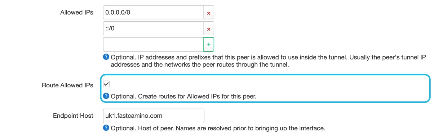 The peer's settings, with Route Allowed IPs ticked and highlighted