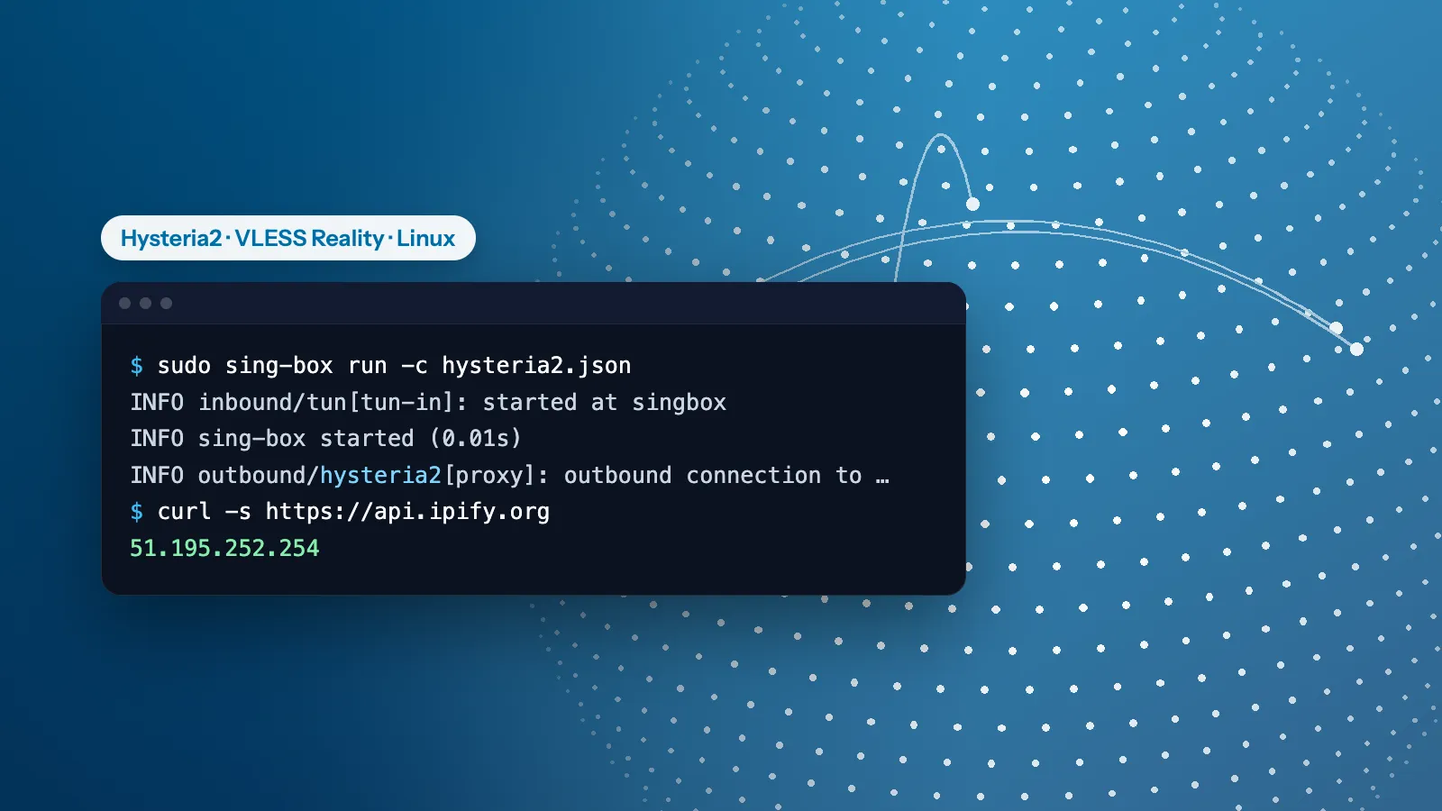 A terminal over a dotted globe: sing-box starts a Hysteria2 tunnel and curl shows the VPN server's address