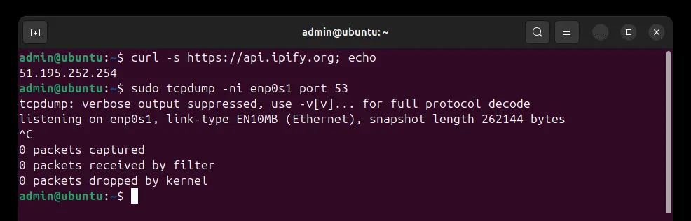 Terminal: curl api.ipify.org prints the VPN server's address, and tcpdump on the network interface captures 0 DNS packets while websites load