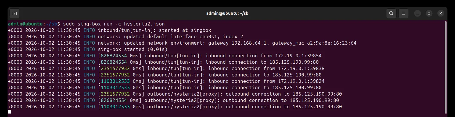 Terminal: sudo sing-box run -c hysteria2.json starts the tun interface, prints sing-box started, and shows connections going out through the hysteria2 outbound