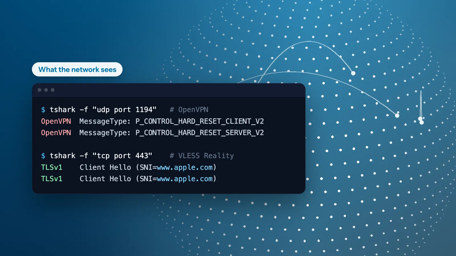 A packet capture over a dotted globe: OpenVPN packets are labelled OpenVPN, while VLESS Reality shows as a TLS Client Hello for www.apple.com